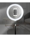 26cm 座檯 LED環形燈 直播手機夾支架 環形 補光燈 支架 26cm 座檯 LED環形燈 直播手機夾支架 環形 補光燈 支架